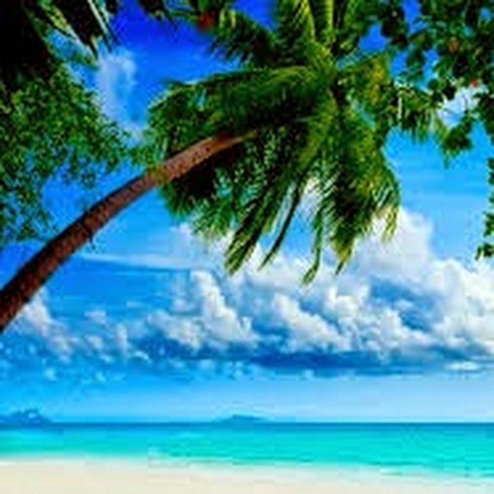 Meet your Posher, Aditi